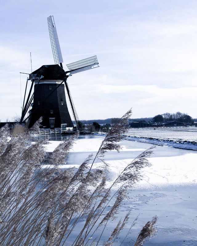 Exactly one year ago today (damn, one year ago again!!!) it looked like a winterwonderland here and all of Holland went crazy. Everything was frozen: canals, rivers, lakes, puddles. It didn't matter if there were skates or not, everyone was on the ice - rolling, tumbling, slurping or gliding elegantly. What fun and such a welcome break from the eternal Corona monotony.
 This year there was not a single snowflake so far, nor did the temperature drop below zero, so I am all the more grateful for our incredible winter week in Lapland. In a fortnight we'll be heading home and onto our skis. Hopefully we'll be able to soak up a bit of winter feeling once again. Fingers crossed.
